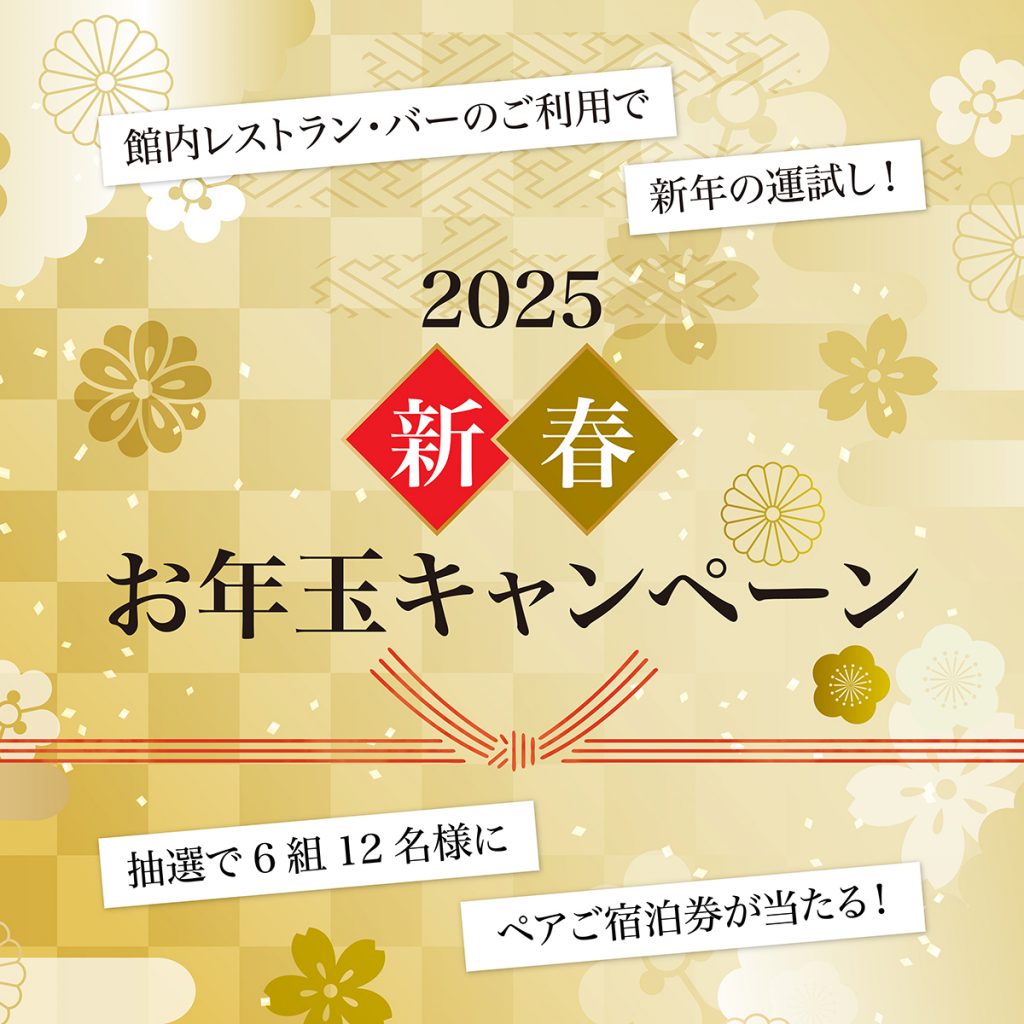 ピュアキッズ回数券 9枚 期限2025/7/11 AudioAccessory